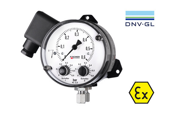 FISCHER DS 21 Fark Basınç Sivici